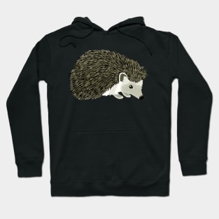 Sonic Snuggles Hedgehog Love, Tee Triumph Extravaganza for Animal Lovers Hoodie